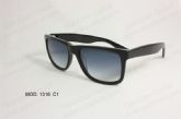 Adult Acetate Sunglasses (13)