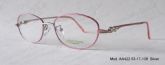 Adult Metal Optical Frames (15)