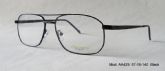 Adult Metal Optical Frames (16)