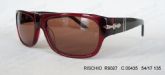 Adult Acetate Sunglasses (5)