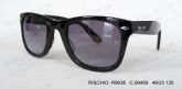 Adult Acetate Sunglasses (6)