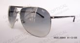 Designers Sunglasses (1)