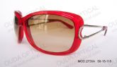 Designers Sunglasses (1)