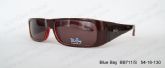 Designers Sunglasses (4)